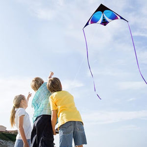 HONBO Large Delta Kite for Kids & Adults,Extremely Easy to Fly Kite for Beach Trip,String Line Included,with Colorful Tail,Perfect for Beginners (Blue)