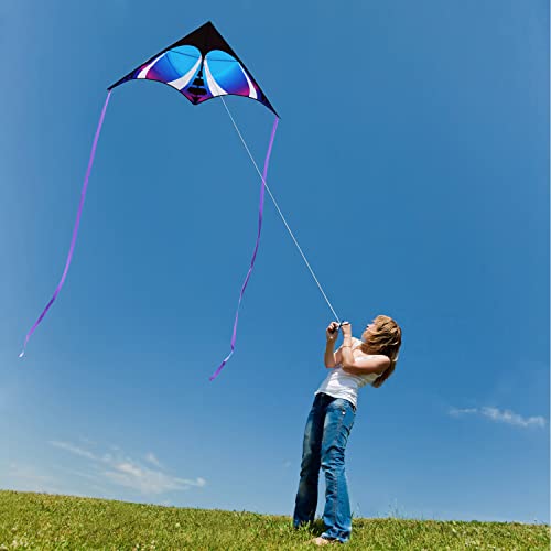 HONBO Large Delta Kite for Kids & Adults,Extremely Easy to Fly Kite for Beach Trip,String Line Included,with Colorful Tail,Perfect for Beginners (Blue)