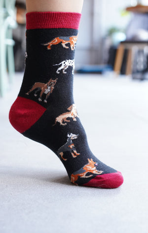 Women's Dog Species Socks