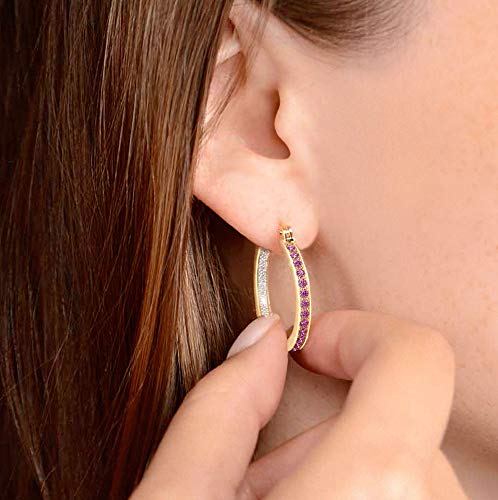The Danbury Mint Birthstone Diamond Hoop Earrings (02 February) #9692-014