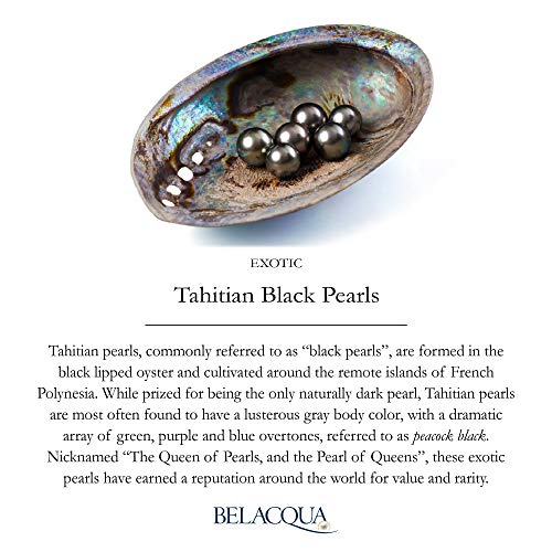 Tahitian Black Pearl Diamond Pendant and Drop Dangle Earring Set in Sterling Silver, 18"