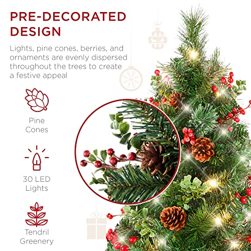 Best Choice Products Set of 2 24.5in Outdoor Pathway Christmas Trees, Battery Operated Pre-Lit Holiday Décor for Driveway, Yard, Garden w/LED Lights, Red Berries, Frosted Pine Cones, Red Ornaments