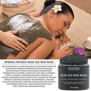 New York Biology Dead Sea Mud Mask for Face and Body - Natural Spa Quality Pore Reducer for Acne, Blackheads and Oily Skin - Tightens Skin for A Healthier Complexion - 8.8 oz