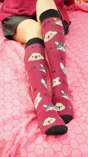 Women's Cute Cats Knee High Socks Set